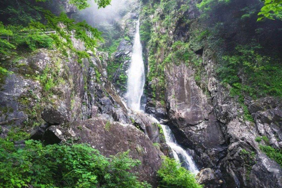 一网统揽综合慧治平台实现一屏观全市 一网管全城